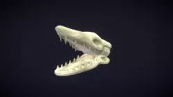Sea Monster Skull