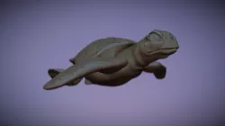 Sea Turtle