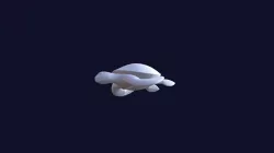 Sea Turtle Swim Animation