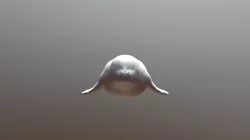 Seal Asset Export1
