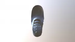 seashell