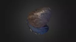 segio