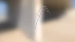 Shape