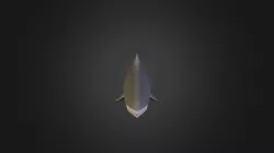 Shark