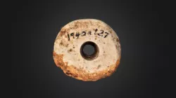 Shell Bead (1940a127-2)