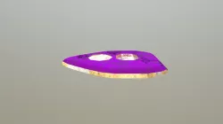 Shield