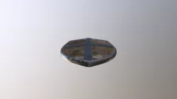 Shield