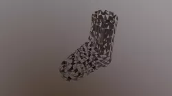 Shoe