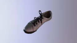 Shoe