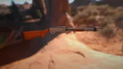 Shotgun