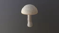 Shroom