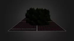 shrub