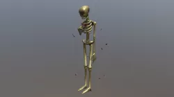 skeleton
