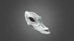 Skull 01