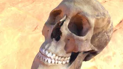 Skull 07 (version 2)