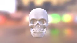 Skull