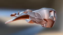 Skull