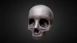 Skull