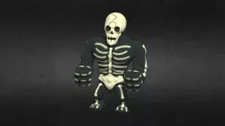 Skull Force KO