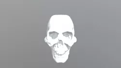 Skull, iteration #1