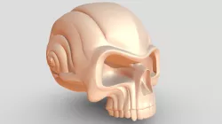 Skull spiral