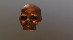 Skull