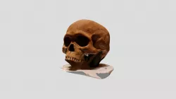 Skull2