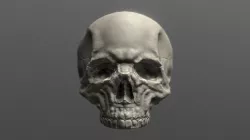 Skullette the skull