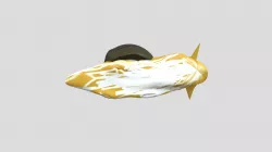 snail