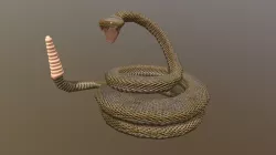 Snake