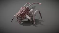 Space Bug