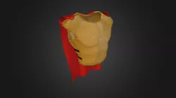 Spartan Armor