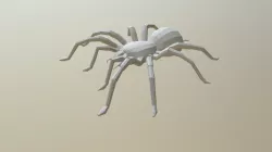 Spider Base Mesh
