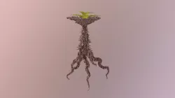 Spinam giant