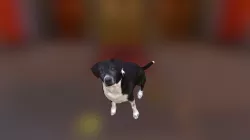 Springer