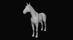 Sprinter horse base