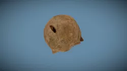 SRP9488 Cranium Healed Sharp Force Trauma