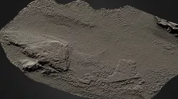 St Cuthbert's Island-untext