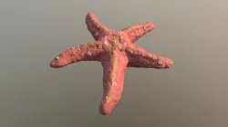 Starfish (Pink)