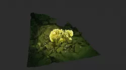 Station 4 2019-11-30 McKenzie Bight Cloud Sponge