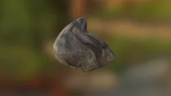 Stein