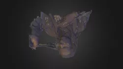 Stevenl
