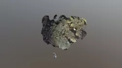 Stick bug