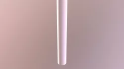 Struts