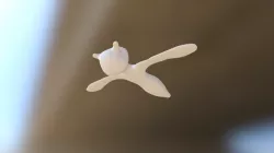 Study Of Wings Motion