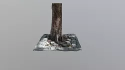 Stump
