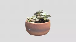 SUCC SMALL
