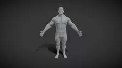 Superhero Male Body Base Mesh 3D Model