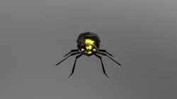 SURFACE BUG