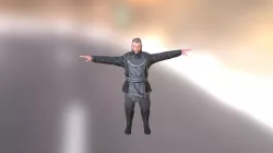 Sword Fighting 01 Knight